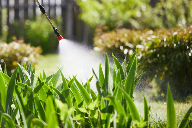 24/7 Emergency Mosquito Control experts in West Wyomissing, PA