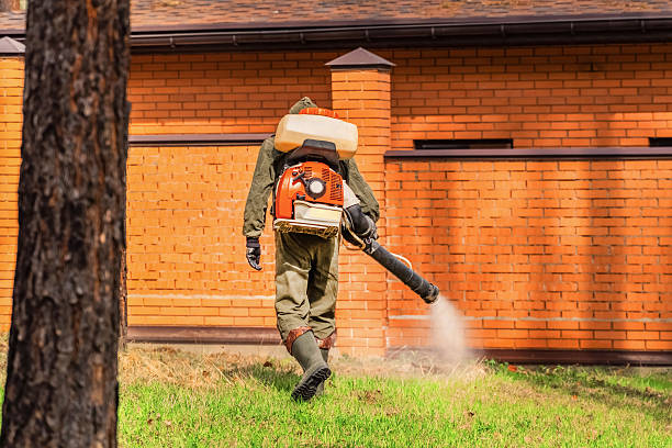 Top rated local Mosquito Control specialists in West Wyomissing, PA